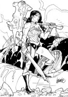 David LaFuente - Wonder Woman Comic Art